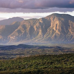 Gansbaai Landscapes